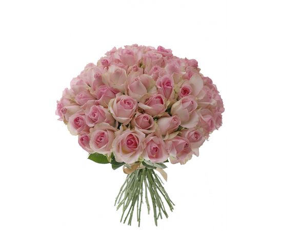 Троянда Gr Boulevard L70, Модель: 0, зображення 3 | Доставка квітів Шарм24