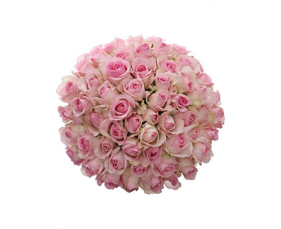 Троянда Gr Boulevard L70, Модель: 0, зображення 4 | Доставка квітів Шарм24