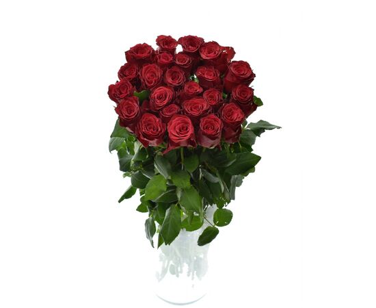 Роза Gr Rhodos L80***, Модель: 0, фото 3 | Доставка цветов Шарм24