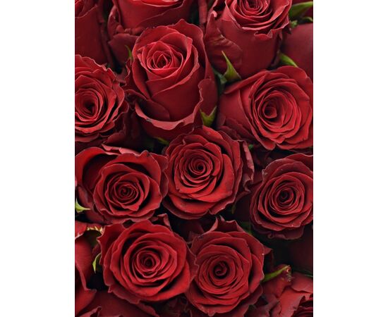 Роза Gr Rhodos L80***, Модель: 0, фото 5 | Доставка цветов Шарм24