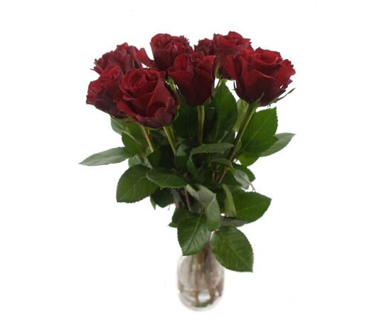 Троянда Gr Upper Class L50, Модель: 0, зображення 3 | Доставка квітів Шарм24