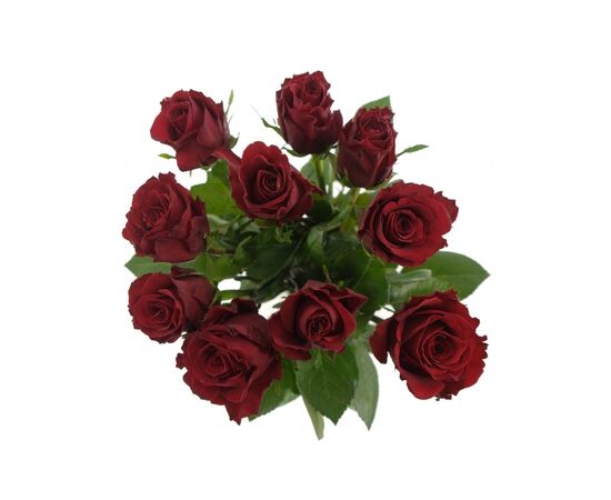 Троянда Gr Upper Class L50, Модель: 0, зображення 4 | Доставка квітів Шарм24