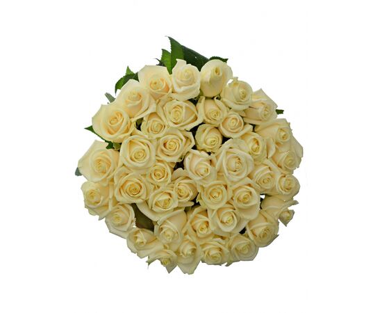 Роза Gr Vendela L80, Модель: 0, фото 4 | Доставка цветов Шарм24