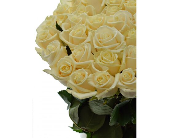 Роза Gr Vendela L80, Модель: 0, фото 5 | Доставка цветов Шарм24