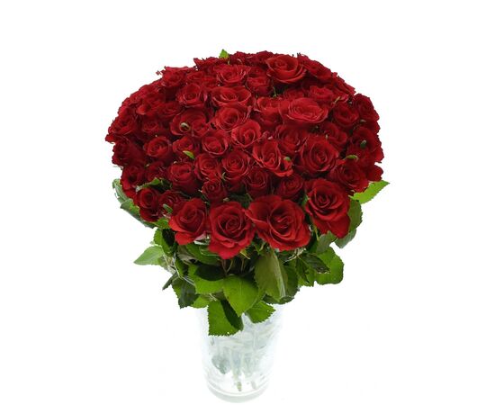 Роза Kl Red Calypso L50, Модель: 0, фото 3 | Доставка цветов Шарм24