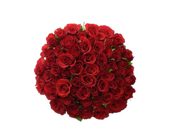 Роза Kl Red Calypso L50, Модель: 0, фото 4 | Доставка цветов Шарм24