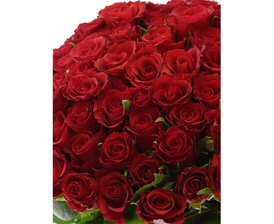 Роза Kl Red Calypso L50, Модель: 0, фото 5 | Доставка цветов Шарм24