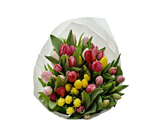 Тюльпан U Mix (акція), Модель: 0, зображення 2 | Доставка квітів Шарм24