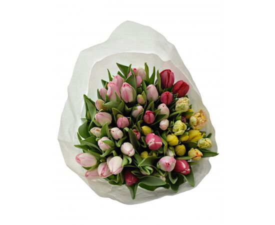Тюльпан U Mix (акція), Модель: 0, зображення 3 | Доставка квітів Шарм24