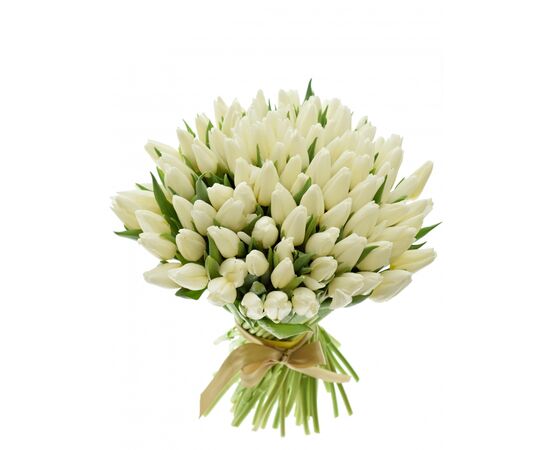 Букет з білих тюльпанів 100шт, Модель: 0, зображення 2 | Доставка квітів Шарм24