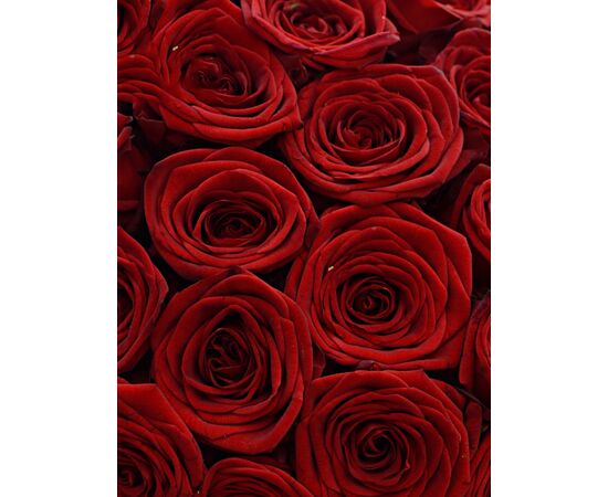 Букет з червоних троянд 101шт., Модель: 0, зображення 3 | Доставка квітів Шарм24