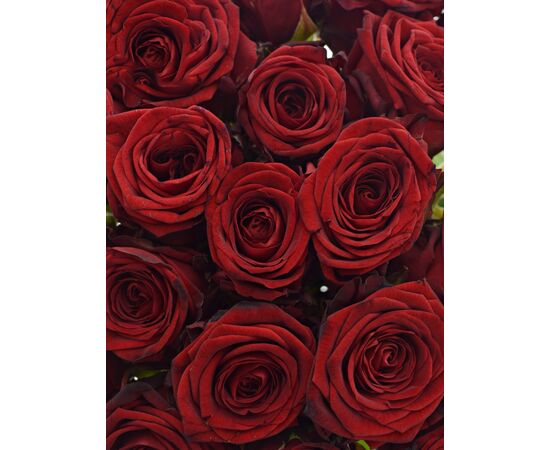 Букет из красных роз 25шт., Модель: 0, фото 3 | Доставка цветов Шарм24