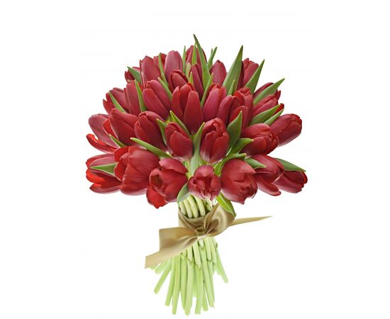Букет из красных тюльпанов 35 шт, Модель: 0, фото 2 | Доставка цветов Шарм24