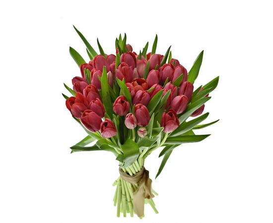Букет з червоних тюльпанів 55 шт, Модель: 0, зображення 2 | Доставка квітів Шарм24