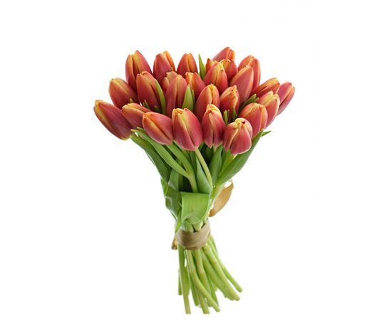Букет з вогняних тюльпанів 25шт, Модель: 0, зображення 2 | Доставка квітів Шарм24