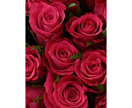 Букет з рожевих троянд 101шт., Модель: 0, зображення 3 | Доставка квітів Шарм24