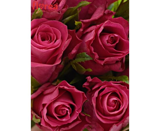 Букет из розовых роз 15шт., Модель: 0, фото 3 | Доставка цветов Шарм24