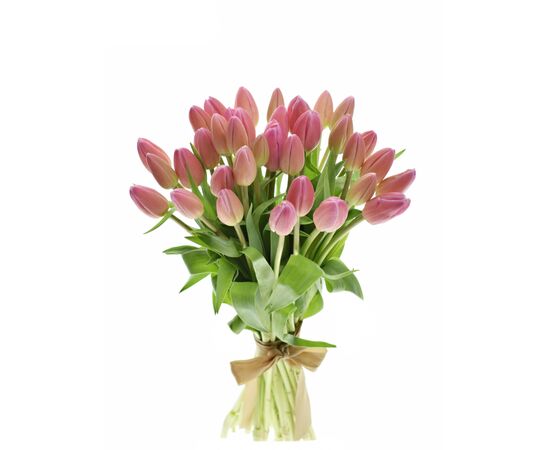 Букет из розовых тюльпанов 35 шт, Модель: 0, фото 2 | Доставка цветов Шарм24