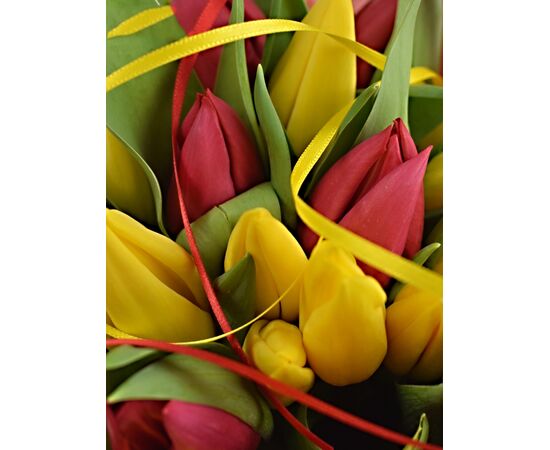 Букет з тюльпанів 31 шт, Модель: 0, зображення 3 | Доставка квітів Шарм24
