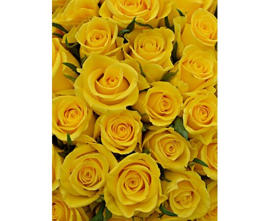 Букет из желтых роз 101шт., Модель: 0, фото 3 | Доставка цветов Шарм24