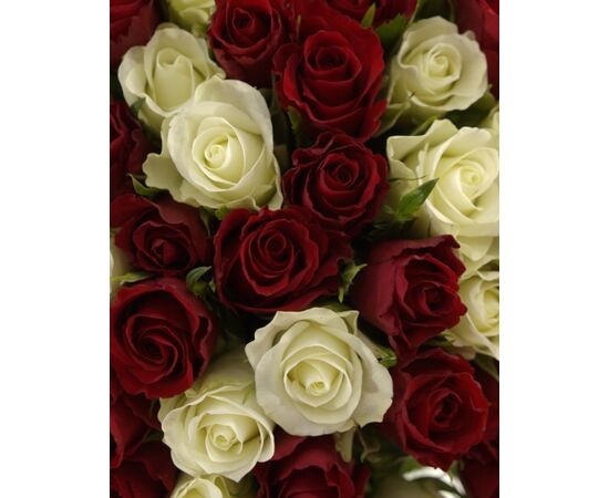 Букет "CALYPSO", Модель: 0, фото 3 | Доставка цветов Шарм24