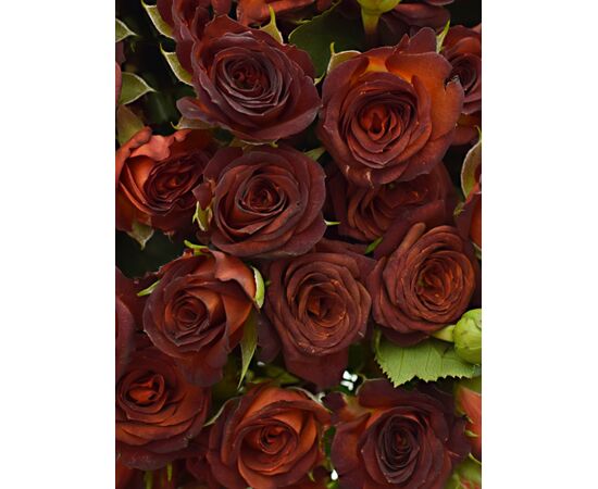 Букет "CHOCOCCINO", Модель: 0, зображення 3 | Доставка квітів Шарм24