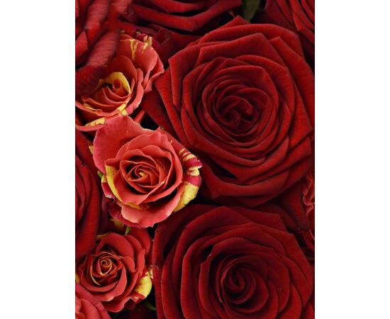 Букет "FLASH", Модель: 0, зображення 3 | Доставка квітів Шарм24