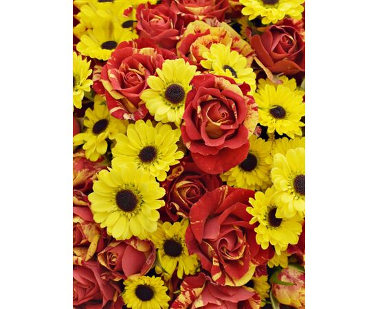 Букет "FLASH POINT", Модель: 0, зображення 3 | Доставка квітів Шарм24