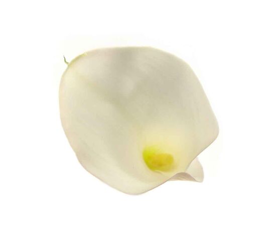 Калла MIX L40, Модель: 0, фото 2 | Доставка цветов Шарм24