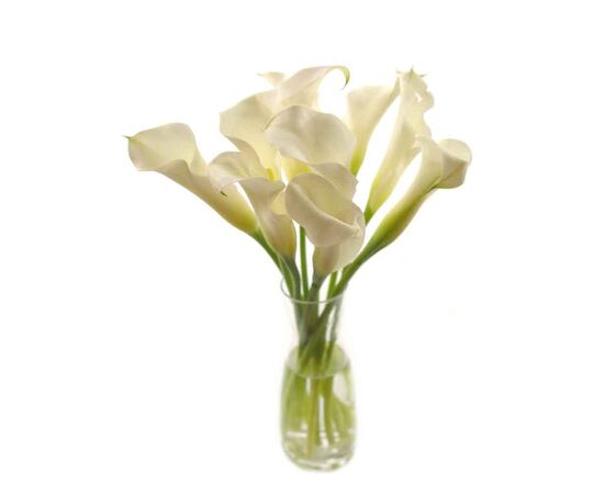 Калла MIX L40, Модель: 0, фото 3 | Доставка цветов Шарм24