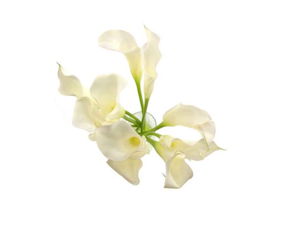 Калла MIX L40, Модель: 0, фото 4 | Доставка цветов Шарм24