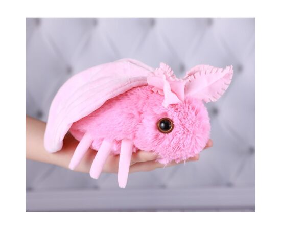 Мягкая игрушка Моль Молли, Модель: 0, фото 3 | Доставка цветов Шарм24