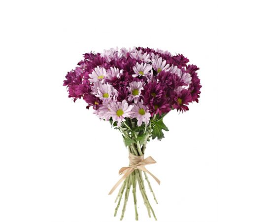 Букет "PURPLE DREAM", Модель: 0, фото 2 | Доставка цветов Шарм24