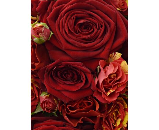 Букет "RED FLASH", Модель: 0, зображення 3 | Доставка квітів Шарм24