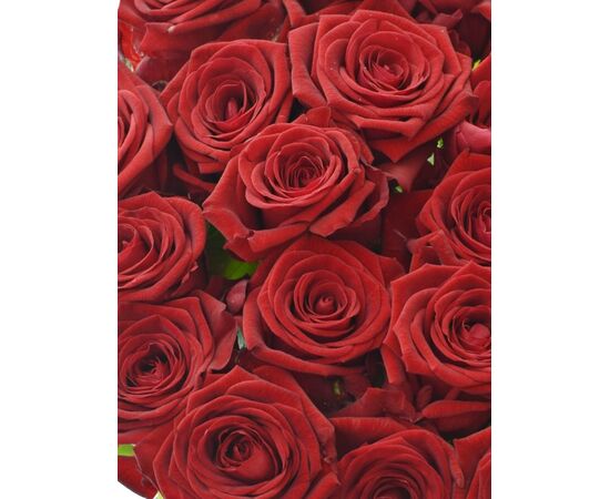 Троянда Ред Наоми L8, Модель: 0, зображення 5 | Доставка квітів Шарм24