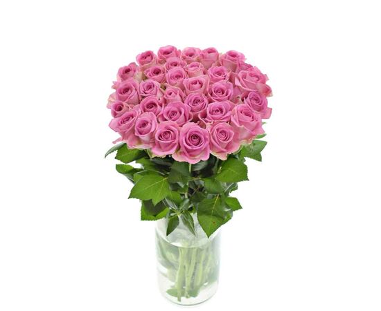 Роза Аква L8, Модель: 0, фото 3 | Доставка цветов Шарм24