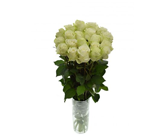 Троянда Gr Dolomiti L 60, Модель: 0, зображення 3 | Доставка квітів Шарм24