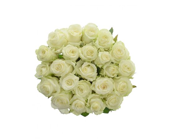 Троянда Gr Dolomiti L 60, Модель: 0, зображення 4 | Доставка квітів Шарм24