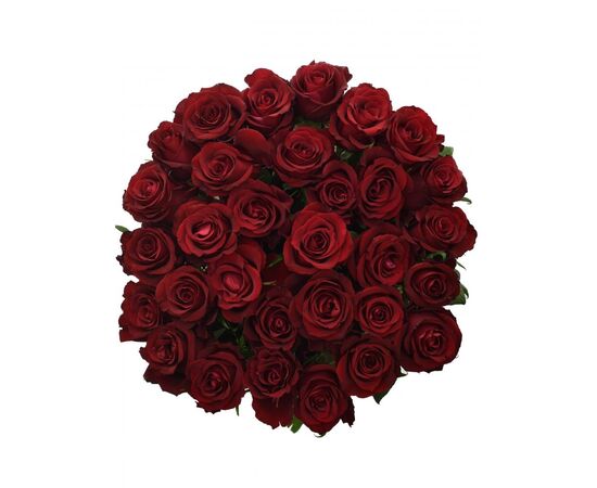 Троянда Gr Ever Red L60, Модель: 0, зображення 4 | Доставка квітів Шарм24