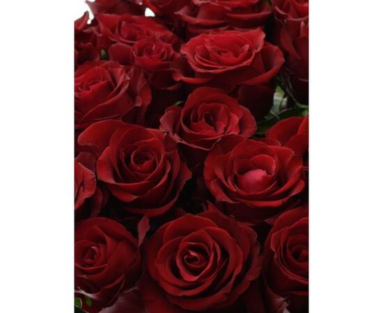 Троянда Gr Ever Red L60, Модель: 0, зображення 5 | Доставка квітів Шарм24