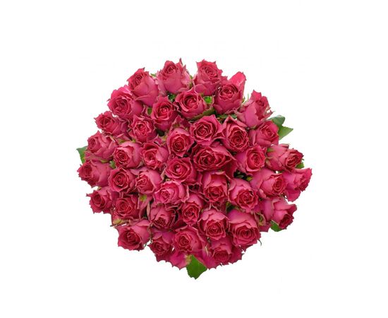 Роза Gr Pink Rhodos L70, Модель: 0, фото 4 | Доставка цветов Шарм24