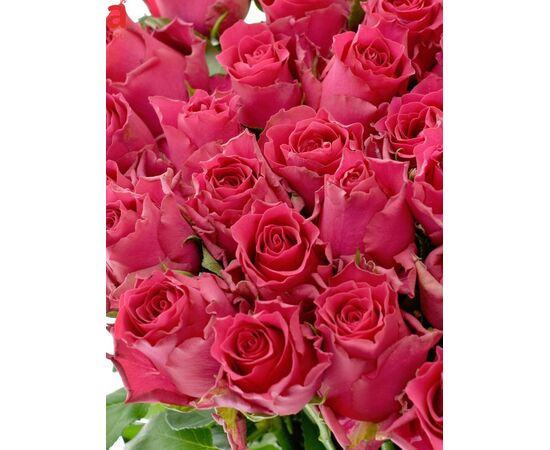 Роза Gr Pink Rhodos L70, Модель: 0, фото 5 | Доставка цветов Шарм24