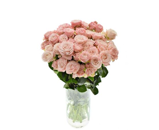 Троянда спрей Мадам Бомбастік L75, Модель: 0, зображення 3 | Доставка квітів Шарм24